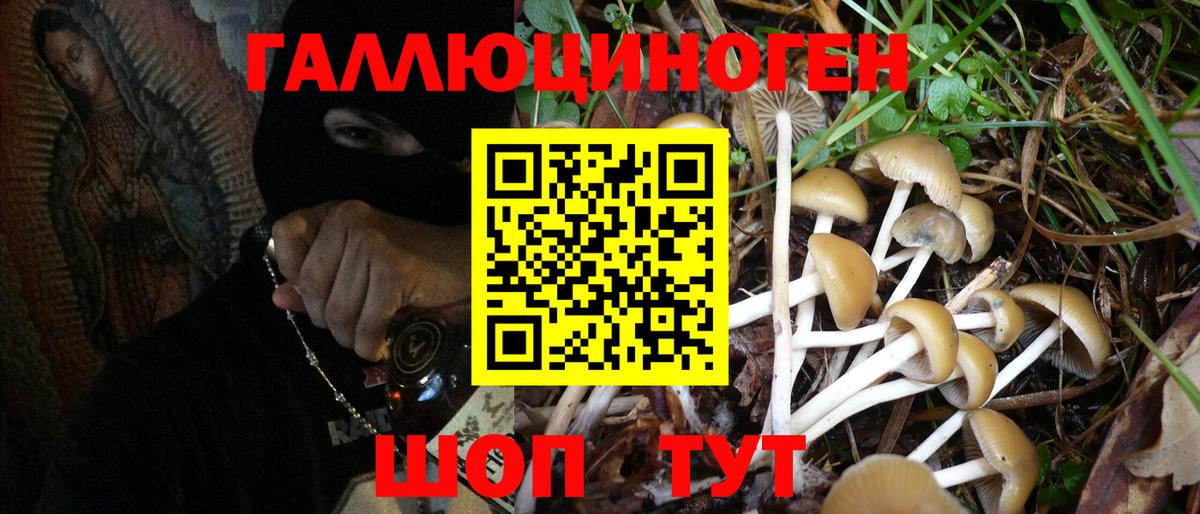 Галлюциногенные грибы мицелий Тверь
