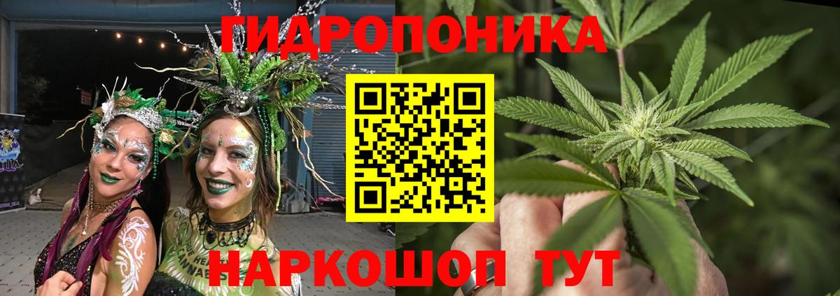 Тверь  Марихуана Bruce Banner  Конопля Bruce Banner  Вход с VPN  Шишки марихуана план  МАРИХУАНА ГИДРОПОН 